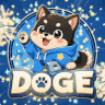 DOGE 도지서버 접속만해도 솔라비전제공!