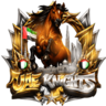 #UAE KNIGHTS