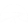 The Path