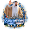 Zayed city