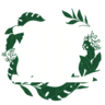 Evergreen Equine