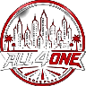 ALL4ONE ROMANIA MAREA DESCHIDERE