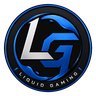 Liquid SemiSeriousRP
